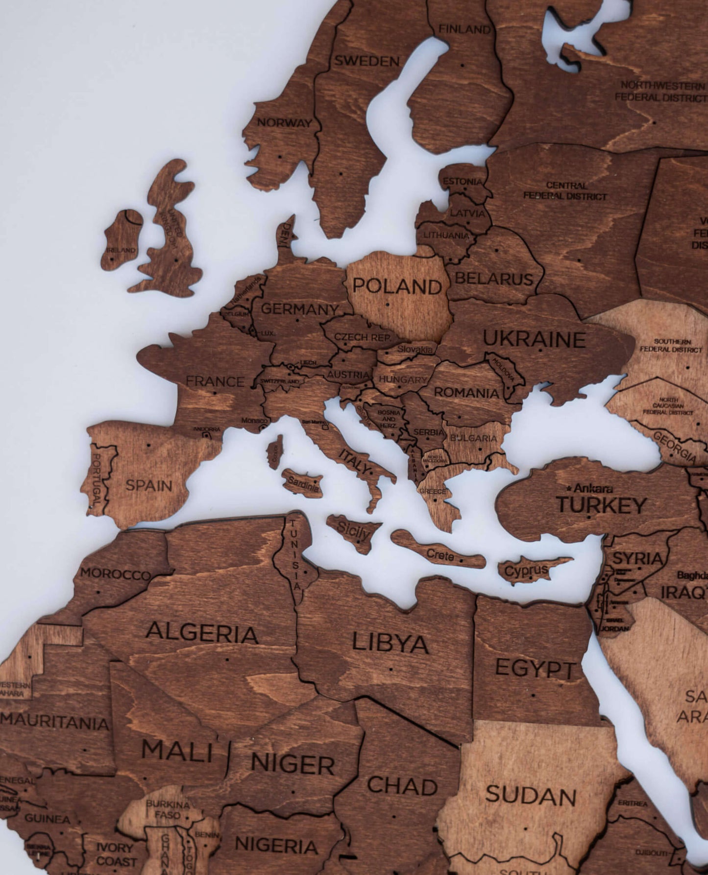 3D Wooden World Map in Oak Color Europe Closeup