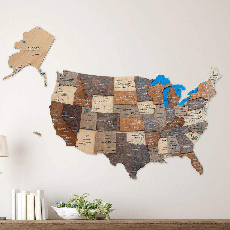 3D Wooden Map US Multicolor